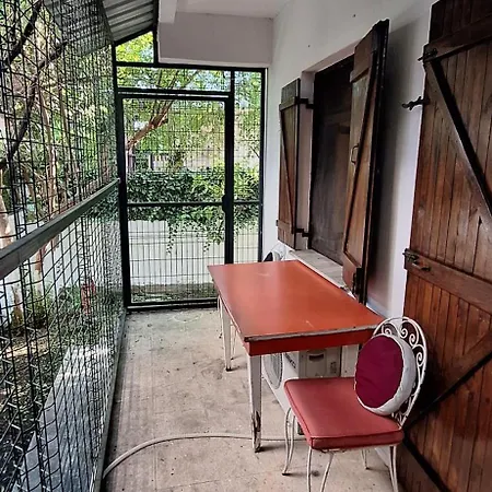 Apartmán Summer House In 